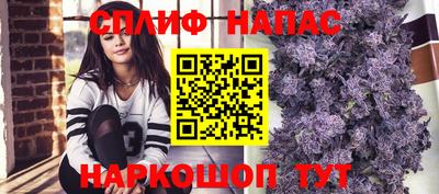 2c-b Новозыбков