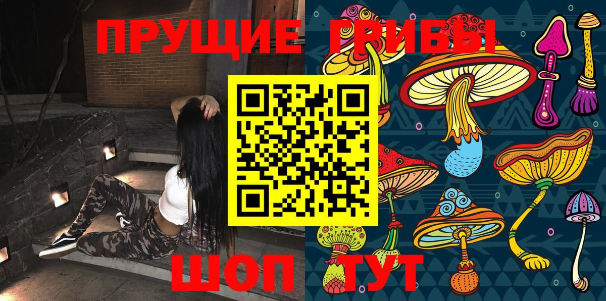 Псилоцибиновые грибы Psilocybine cubensis Саратов