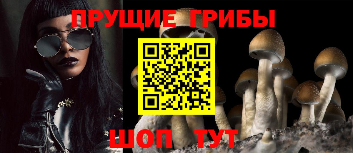 Псилоцибиновые грибы Magic Shrooms  Вход с VPN  Саратов  Псилоцибиновые грибы GOLDEN TEACHER 